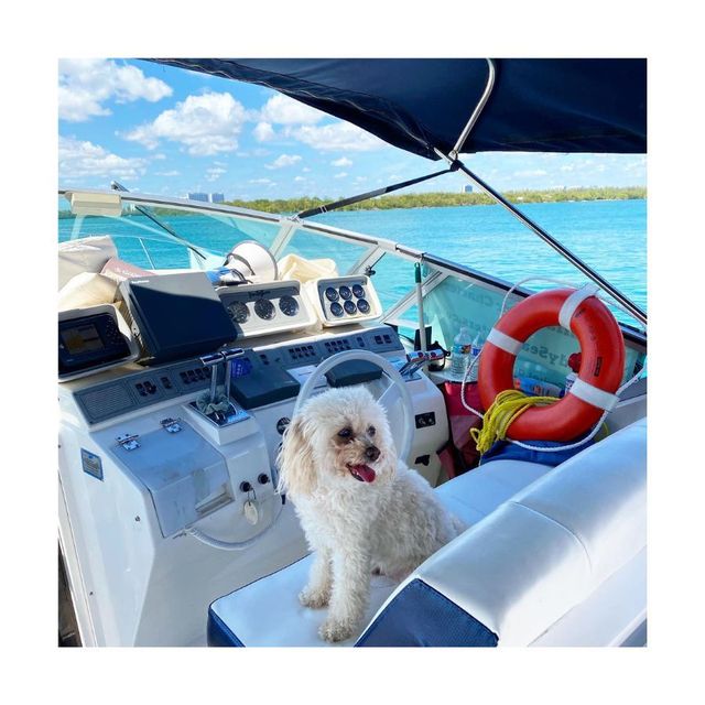Sandy Sea Charters - Aventura's #1 Boat Charter